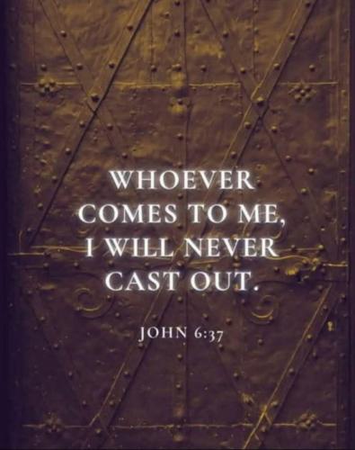 6f20337464ff6535dfc87a45c41d0089