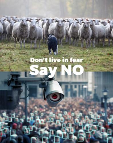 FB_IMG_1762115354112