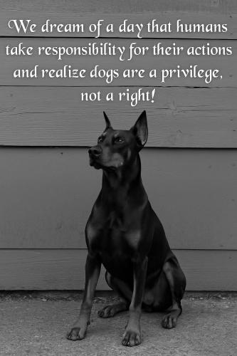 FB_IMG_1764470127550