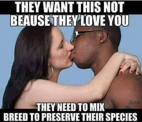 FB_IMG_1752454725269