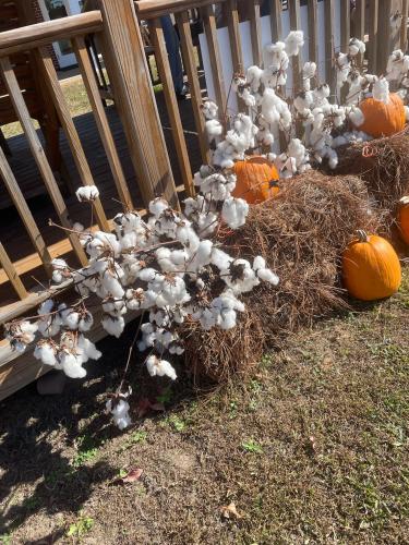 DF5370AD-6C04-4014-BEEF-46E70B90EC86