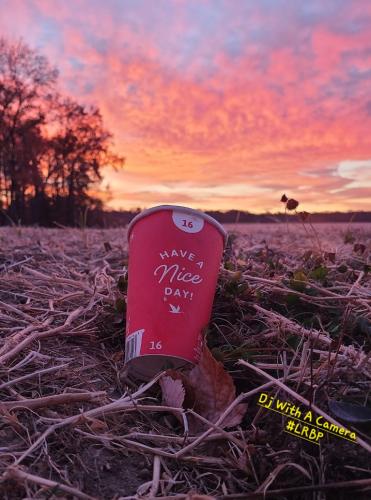 Screenshot_20251121_054351_Gallery