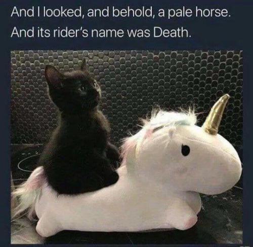 IMG_20251024_173312_757