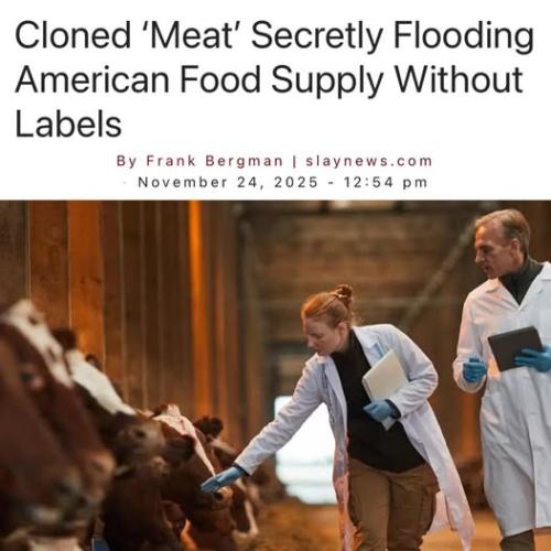 588564898_1434402245359611_6040205039742298083_n