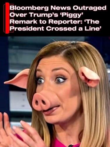 aaec457e-404d-4f78-8dd0-ae59a85c0081