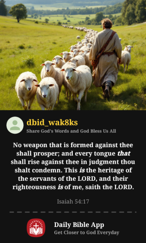 2025-11-281764359360966