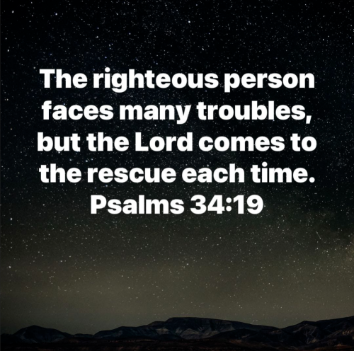 Screenshot_20251104-173728-021