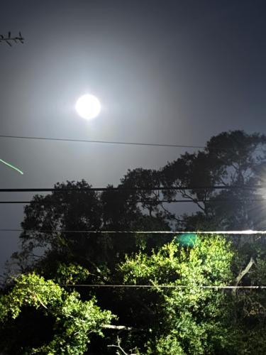 E4C878AB-44A6-40D8-9DEC-A3A7BAD97262