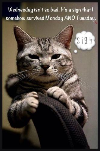 751d88c1fe78fa35df1d16dabb9566bc