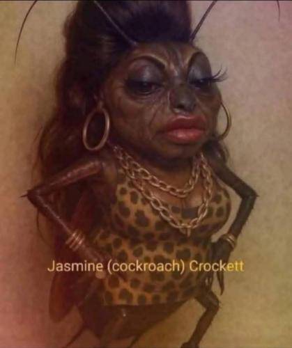 That's a roach jasmine rachet