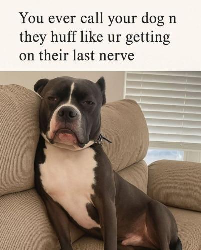 527e08c06ac8c8ac20f2797b584e05fc