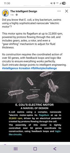 Screenshot_20251116_113015_Facebook