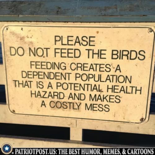 01K8YM5ATY5DWQAXYFBQ91NVDW