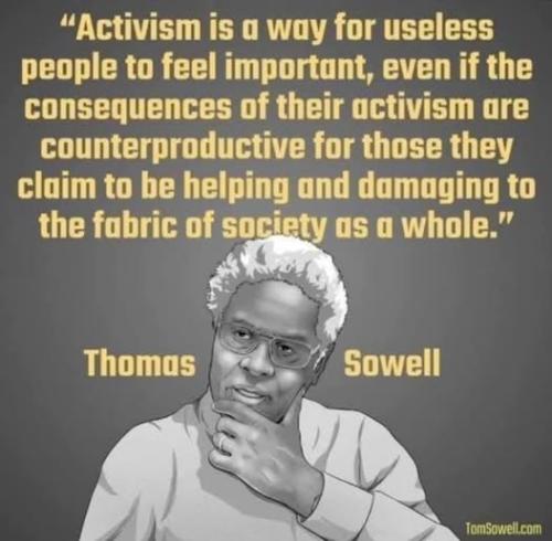 thomas sowell activisim useless people