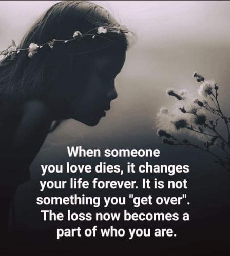 FB_IMG_1573272383003