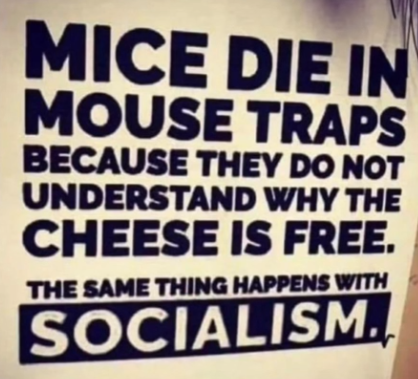 Screenshot 2025-11-08 174142