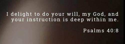 IMG_20251124_194153_914