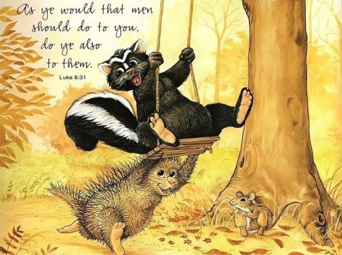 8e04edd16e79d22969f50894798a8d34