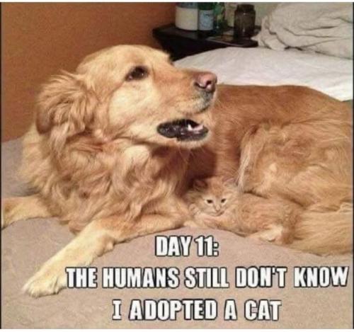 df97aedaae803a5e6887cf52966ae318