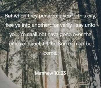 687a1d92-ebba-40e2-9288-0d84af9e19cf