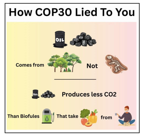 COP 30 lies