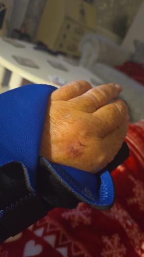 e45efb11-3f81-4b3b-bb7c-81eacfdd5fa8