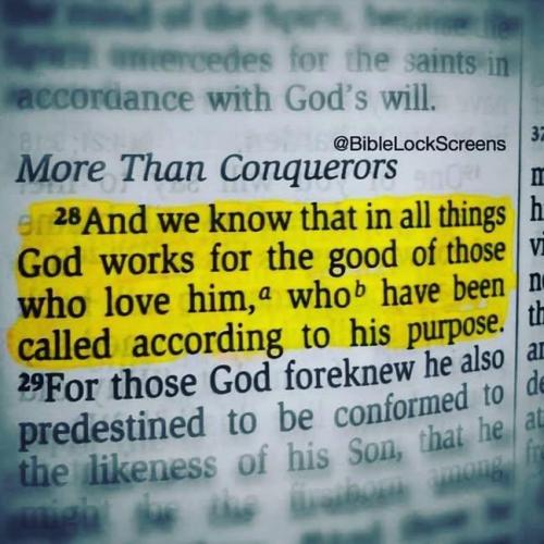 IMG_20251122_195433_833