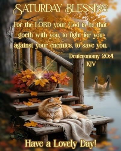 581417621_18031895681743683_4042997817205542454_n