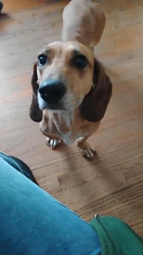 bb049d5a-04a7-4ebf-b4a7-640575d55e23