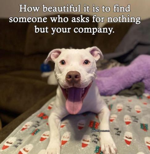 2cb793074dcfe113f4744b693b398550