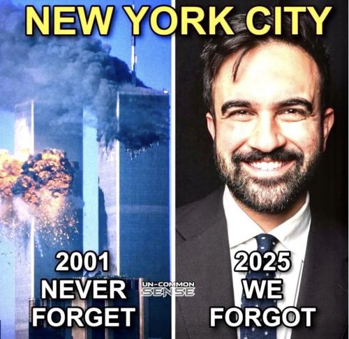 8bf449b9-a9b2-4e11-a83a-2a6bd5dc5d74