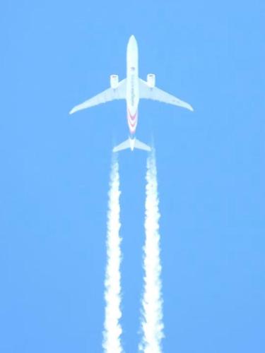 ece21bab-2cb6-4c9f-82a1-14e2210d9109