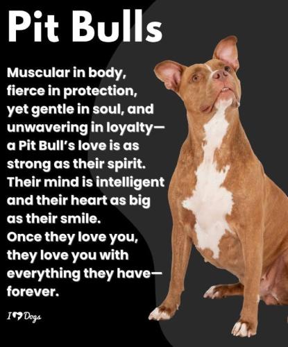 aa99a6b8ce01f132f26d71494544a06e