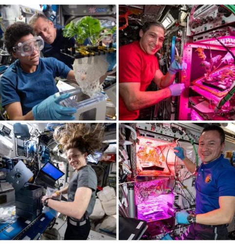 8277c201-e9a3-4011-a4de-7c6010960734