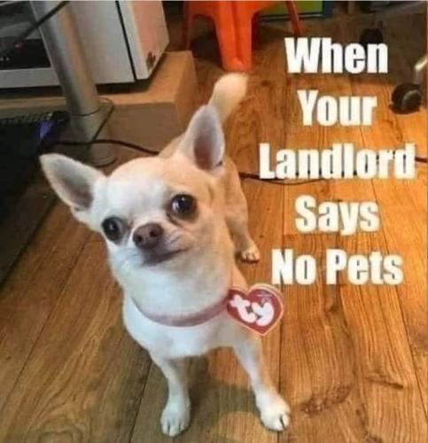 3382ceeca79d17919d01ffb96ec10172