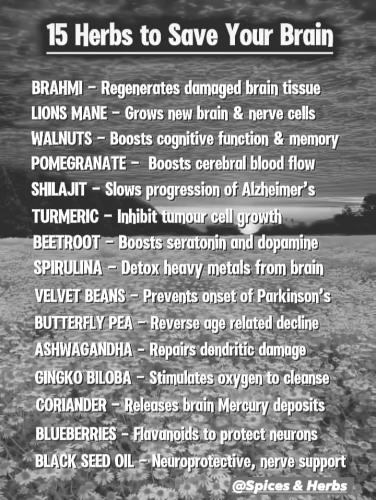 ,          ,  0424775766_746362