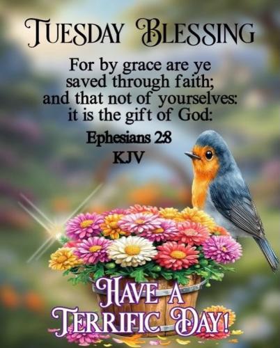 572938913_18030050327743683_8188631403685340607_n