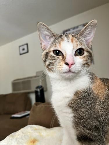 90031285-9CAC-4CA1-9084-D900B00BBE94