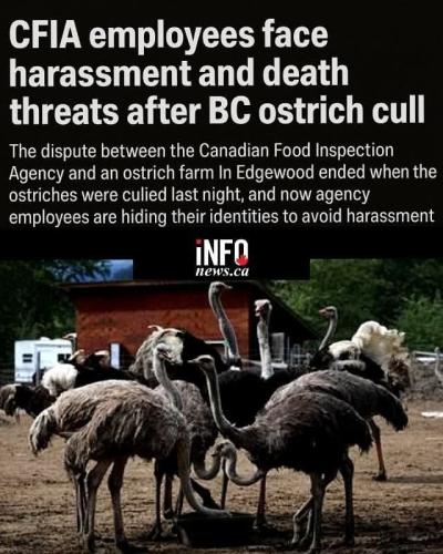 FB_IMG_1762705700537