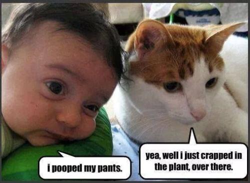 e0bc6581ac120e578640f66bb178bc53