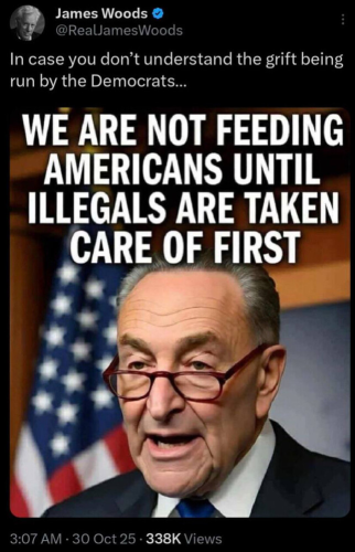 image_2025-11-02_101344259