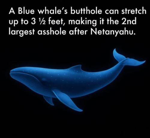 FB_IMG_1763269581867