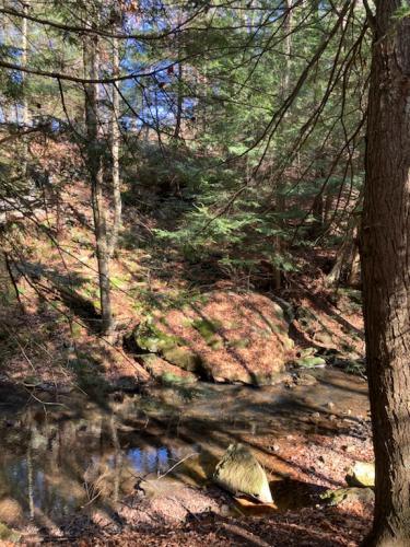 CB1AFA5D-C42F-4741-B91F-DD656E9391BB