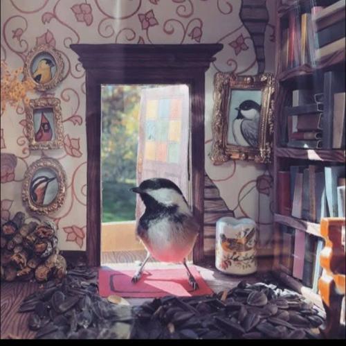 591197188_822934603685692_1744626736591934960_n