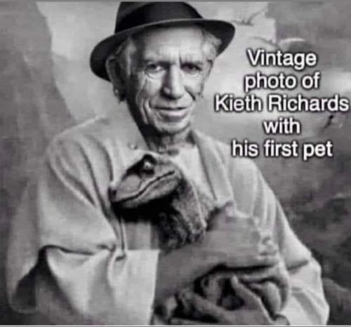 Screenshot_20251030-094238_Pinterest