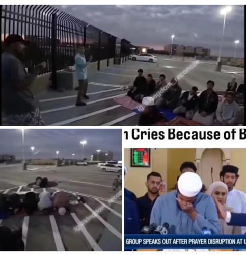 7985dc23-7b28-4768-bb40-4a5b522ec2ef