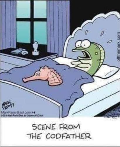 Screenshot_20251112_114434_Gallery