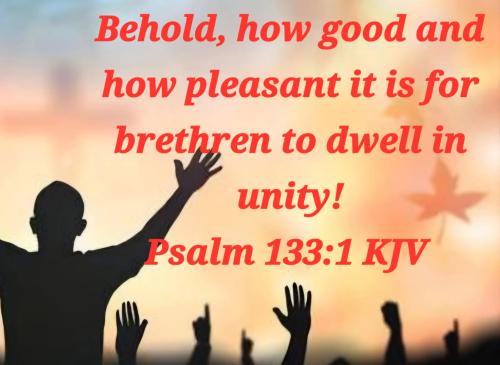 2f46879a-3ee6-46da-a064-b5def62cf084