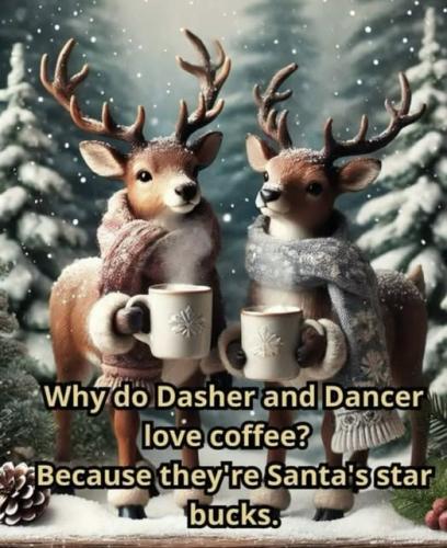 590261463_10240225693519771_6294610980323887499_n