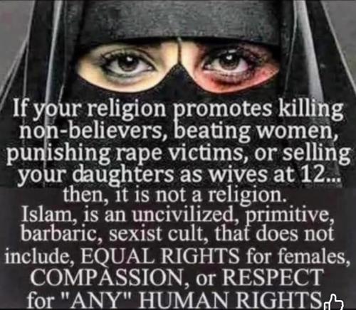 Screenshot_20251120_131005